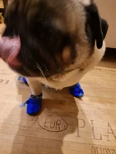 Dog-Shoes Socks Dogs Chihuahua Yorkie Snow Anti-Slip Small Winter Warm for Cats Thick