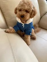 Costume Chihuahua Coat Jeans Pet-Clothing Dog-Jacket Puppy Poodle-Bichon Dog Denim Winter