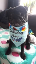Banner-Accessories Collar Pet-Party-Supplies Birthday-Party-Decor Dog Cat Scarf Hat 