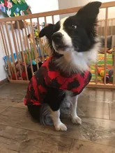 Vest Coat Jacket Pet-Dog-Clothes French-Bulldog-Pet Dogs Small Waterproof Large Winter