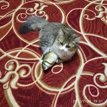 Cheap Pet Products Fish Toy Cat Scratch Board Scratching Post Catnip toys for Cat Pet