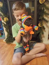 Pet-Puppy-Accessories Socks Hats Cat-Products Dogs-Knitted Small Chihuahua Little Winter