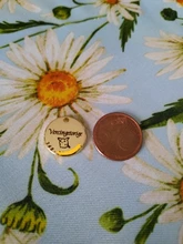 Chapa identificativa para mascotas, accesorio personalizado con el nombre grabado del perro o gato para colocar en el collar, MW001