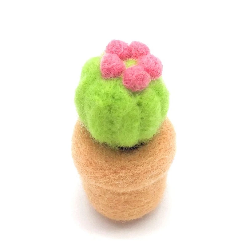 

Needle Felting Kits Mini Cactus for Beginners, Felting Needles, Instruction, DIY Kit Wool Felting Craft Gift (F)