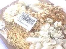 DIY flor seca para hacer moldes de resina, flor Real para empastes de resina para decoración de uñas, manualidad casera, moldes de resina, herramientas de fabricación