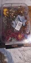 1 caja de hojas de flores prensadas reales, resina de margaritas secas, calcomanías de belleza para uñas, moldes de epoxi, embellecedores para fabricación de joyas