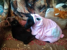 Jacket Hoodie Outfit Coat Animal-Costumes Pet Golden-Retriever Small Winter Large Medium