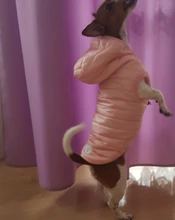 Ropas impermeables para perro, abrigo, chaquetas, chaqueta de invierno, abrigo, sudaderas con capucha, ropa para cachorro pequeño, Chihuahua, Yorkshire