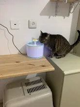 Water-Fountain Automatic Bowl Feeder Drinker FILTERS Led-Lighting Cats with 5-Pack USB