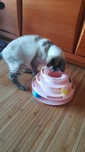 3 Levels Pet Cat Toy Tower Tracks Disc Interacitve Cat Toys Ball Training Amusement Plate