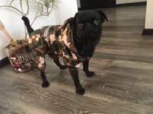 Dog Costumes Rain-Coat Waterproof Jacket Puppy Pet-Dog 4-Color Pet-Supplies XS-XXL Hot