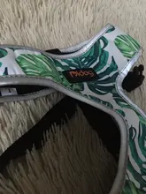 Arnés de Bulldog Francés transpirable para perros pequeños y medianos, chaleco para gatos, entrenamiento para caminar