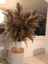 Pampas-Grass Reed Flower Wedding-Decoration Bunch Light-Color Natural Dried Christmas