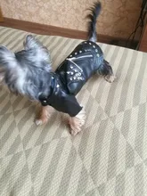 Pet Clothing Costumes Coat Kitten-Outfits Yorkshire Puppy Winter Warm Autumn for Chihuahua