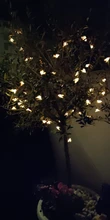 Fairy-Light Fence Led-String Patio Solar-Powered Christmas Honey Outdoor Garden 20leds