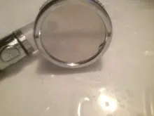 Shower-Head REPLACEABLE-FILTER Switch-Button Adjustable Zhangji Water-Saving High-Pressure