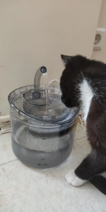 Automatischer 2-Liter-Katzenbrunnen mit Wasserhahn und Hundewasserspender Fotobericht