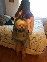 Cat-Carrier Dog-Travel-Bags Outdoor Portable Pet Environmentally-Friendly Cationic