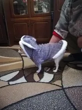 Cute Rabbit Design Dog Hoodie Winter Pet Dog Clothes For Dogs Coat Jacket Cotton Ropa