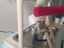 Perch-Stand Ladder Feeder Playground Bird Parrot with Wooden Platform Gym Cups Interactive-Toys