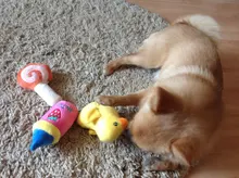 Pet-Toys Dog-Supplies Cat Plush Mini Cartoon Funny Legendog Bite-Resistant