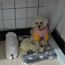 Bed-Mat Cushion Pet-Blanket Home-Rug Fleece-Pad Sleeping-Cover Cat Sofa Puppy Dog Soft-Flannel