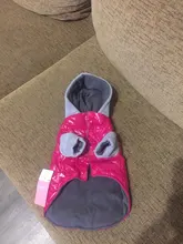 Hoodies Jacket Puppy French-Bulldog Small Dogs Waterproof Dog Chihuahua Winter Autumn