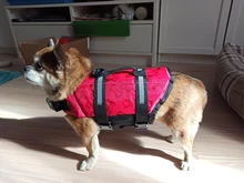 Chaleco Salvavidas para perro, chaqueta Salvavidas para mascota, ropa de seguridad, traje de baño para mascotas, Chaleco de seguridad para verano