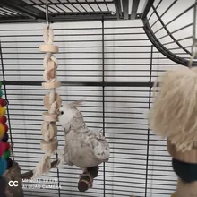 Bird-Toys Accessories Perch-Stand Cockatiel Budgie Parkiet Vogelspeelgoed 7pcs Jouet