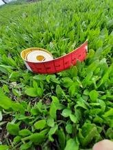 Regla de medición corporal de 1,5 m, cinta métrica de costura a medida, Mini regla plana suave, centímetro, cinta métrica de costura