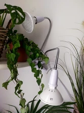 Light-Socket Base Desk-Lamp-Holder Gooseneck Clip-On-Cable Us-Plug On-Off-Switch Flexible