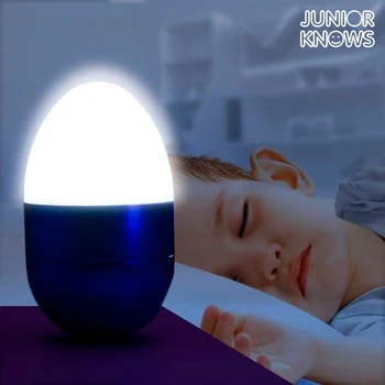 

Decorative LED Egg