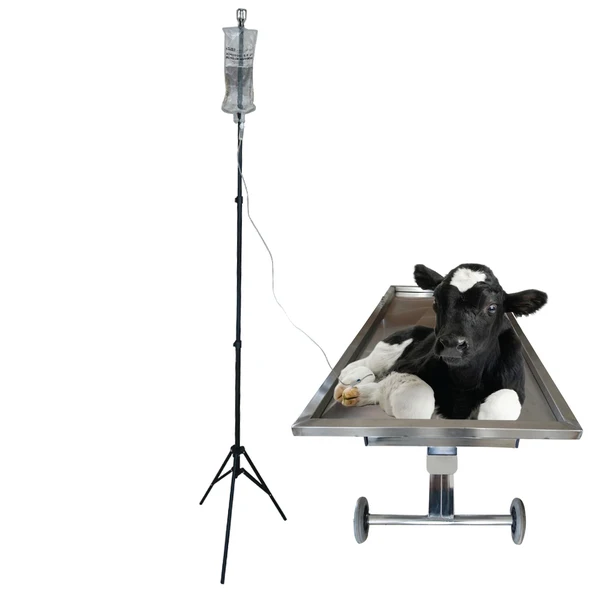 

Chromium Examination Table