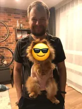 Transportador de mascotas para perros, malla para perros, productos de viaje para exterior, bolsas transpirables con asas para hombros para perros pequeños