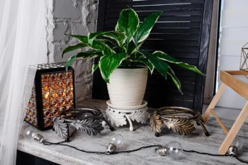 

Undefined flower stand for table "oak" artistic forging home decor apartment Office Exclusive