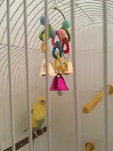 Juguetes de loros y accesorios de aves para mascotas, campana de juguete, soporte de oscilación, jaula de periquito, color gris africano, Vogel Speelgoed, Parkiet