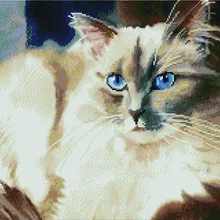 Алмазная мозаика APK 30001 Пушистый красавец 40*50 Эксклюзив