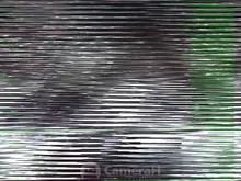 5,5mm 7mm cámara HD para endoscopia endoscopio USB con 6 LED 1/1 5/2M Cable suave inspección impermeable boroscopio para Android PC