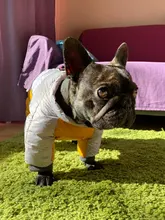 Jacket Clothing Coat Puppy Reflective French Bulldog Warm Dogs-Chihuahua Waterproof Winter