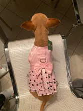Cat Dress Shirt Summer Pet-Puppy Spring Small Dog Stars-Design Bow 2-Colours Apparel