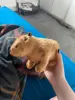 Изображение товара 3