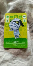 Tarjeta Animal Crossing, 264, 255, 333, 296