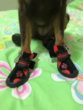 Boots Pet-Shoes Dog Large Waterproof Anti-Skid Small Winter Golden Warm Big 8-Sizes Wear-Resistant