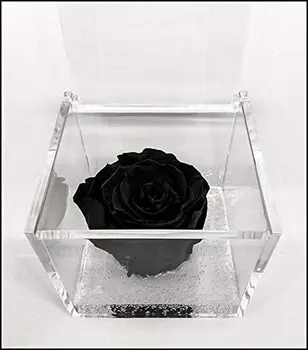 

1067 cube pink fragrant stabilized Black 6cm 6x6x6, the cube with a real rose that lasts even longer than 5 years, prizes