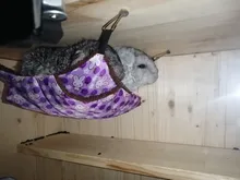 Pet-Hammock Hamster Pig Sleeping-Bed Warm-Hanging Squirrel Chinchilla Plush-Fleece Nest