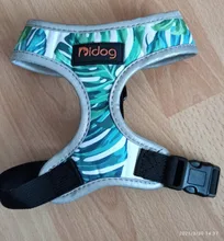 Arnés de Bulldog Francés transpirable para perros pequeños y medianos, chaleco para gatos, entrenamiento para caminar