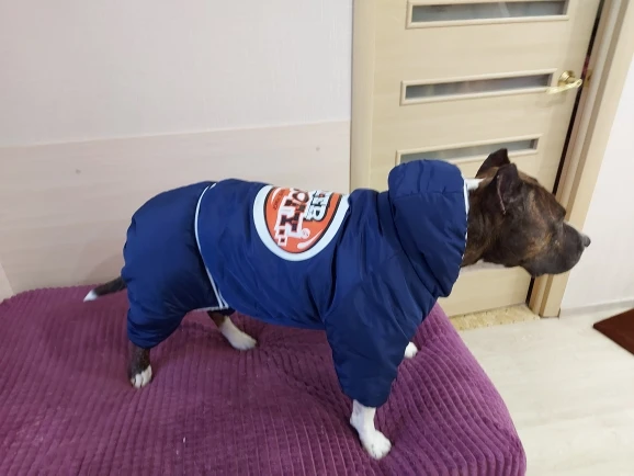 Medium And Large Dog Coat | Big Dog Coat | Winter Coat for Dog ...