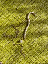 LOVOACC-collar de perlas naturales de agua dulce para mujer, cadena de eslabones gruesa dorada, cierre de palanca asimétrico, Gargantilla circular