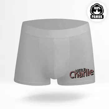 

Personalized Gray Boxer-9
