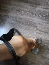 Medium Large Dog Harness Nylon Reflective Collar Vest Harnesses For Dogs Training Husky